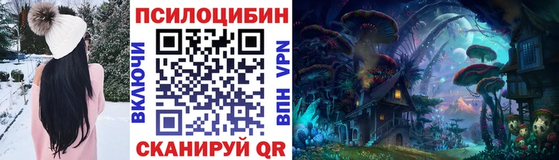 дарк нет состав  цены наркотик  Макушино  Галлюциногенные грибы Cubensis 